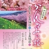 かんなみの桜まつり