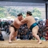 神宮奉納大相撲