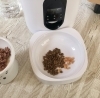 給餌器のご飯にオヤツを添えて お留守番を応援です「リビングは大切なテリトリー!」