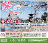 「【4/1〜8開催】上寺山 餘慶寺「桜まつり」に出店します！ご予約承り中🌸」