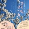 ふなおワイナリー さくらまつり