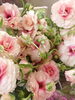 アリアドネ「春のイベントシーズン。。。お花のご予約は少し早めに！ 」