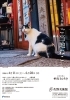 佐野美術館創立60周年・三島市制85周年 記念　岩合光昭写真展「ご当地ねこ」