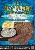 出張！奇石博物館～不思議な石の世界～