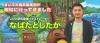 こびと研究家 なばたとしたかさんにインタビュー 取材に行ってきました まいぷれ 徳島市