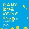 【4/12】たんばら菜の花ピクニック
