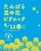 【4/12】たんばら菜の花ピクニック