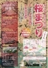 【4/5】第20回 桃山語り部の道『桜まつり』