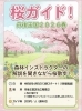 【京丹後市】桜ガイド　丹後王国2026春
