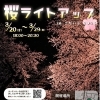 桜ライトアップin小平
