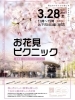 お花見ピクニック
