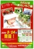 めざみの里観光いちご園（3/14～6月中旬）