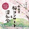 永楽寺桜コンサート＆灌仏会（かんぶつえ）