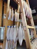 「📣本日のお魚情報🐟」