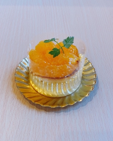 有田みかんのバスクチーズケーキ「有田みかんの生産者「伊藤園」さんが来てくれました。」