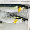 「魚魚市場鮮魚コーナーおすすめは「レンコ鯛・アジ」です♪」
