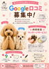 Google口コミをお寄せください「サマーキャンペーン＆選べる3点セット・うちの子グッズのご案内」