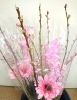 春らしい桃の花セット「[はなやHOK皆生店]春の花でいっぱいです♪」