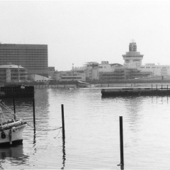 1986～2015年の船橋漁港から見える景色の変遷