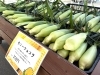 「コーンデイズDAY1開催中！」