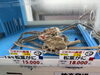 「活蟹お食事🦀3/25(水)で今季終了です❗️」