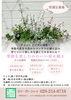 4/28,9/3,12/15 季節を楽しむかわいい寄せ植え（全3回）【ながの緑育協会】