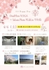 4.4 Happy Day｜Dual Flow YOGA × Sakura Photo Walk in 平和島