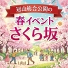 冠山総合公園 春イベント さくら坂