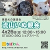 4月26日ちばわん『船橋いぬ親会』開催のご案内