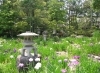 【諸戸氏庭園】春の一般公開