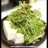 豆苗とうふ鉄板