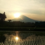 みんなの富士山写真館#1～#5