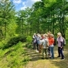 5/9,23 戸隠高原バードウォッチング【ＮＰＯ法人戸隠森林植物園ボランティアの会】