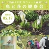 5/17（申込締切5/10）春の旬ウォーク＊鳥と花の観察会【戸隠観光協会】