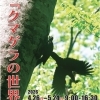 クマゲラの世界展【岩手県滝沢市のイベント】