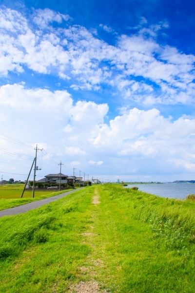 行方市は霞ケ浦・北浦と二つの湖に囲まれた自然豊かな地域です。　　亀井重郎氏　撮影　