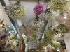 あべ写真館店内には花々が。生花を取り寄せています。「本気の宣伝、ありがとうございます(^^)」
