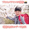 八王子ひなた不動産協賛の無料イベント「いよいよ明日！！プロカメラマンが撮影(^^)完全無料の撮影会☆彡桜の下で思い出の写真を撮ろう♪」