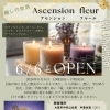 癒しの祭典　Ascension fleur