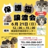保護猫譲渡会