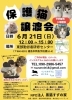 保護猫譲渡会