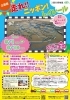走れ！！ ニッポン！ トイレール