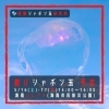 遊びシャボン玉 海南ハレアメ