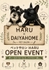【5/30・31】ペットサロンHARU OPEN EVENT