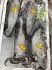 「魚魚市場鮮魚コーナーおすすめは ［カンパチ］です♪」