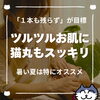 「口コミ率はダントツ１位！お客さまも猫丸もスッキリするお顔そり（=^ェ^=) 整体・オイル・リーディング・占い・顔そり・氣功」