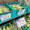 「14時から「高原とうもろこし」タイムセール開催中！」
