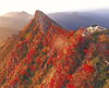 「石鎚山の紅葉が見頃を迎えています！山頂からの絶景をお届け」