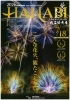 岡山国際サーキット花火大会