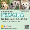 6月14日　ちばわん『船橋いぬ親会』開催のご案内